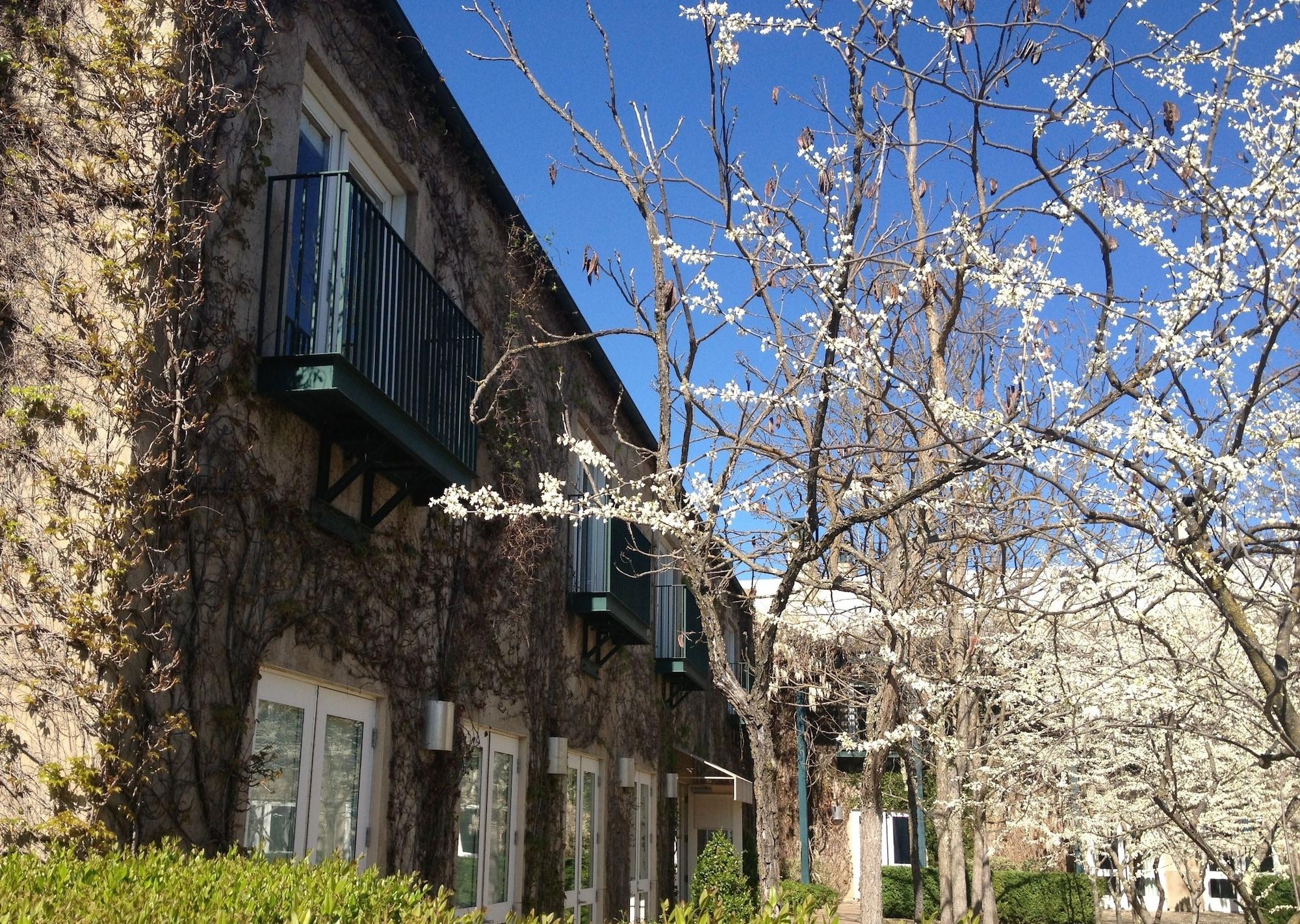 Southbridge Napa Valley St. Helena Extérieur photo